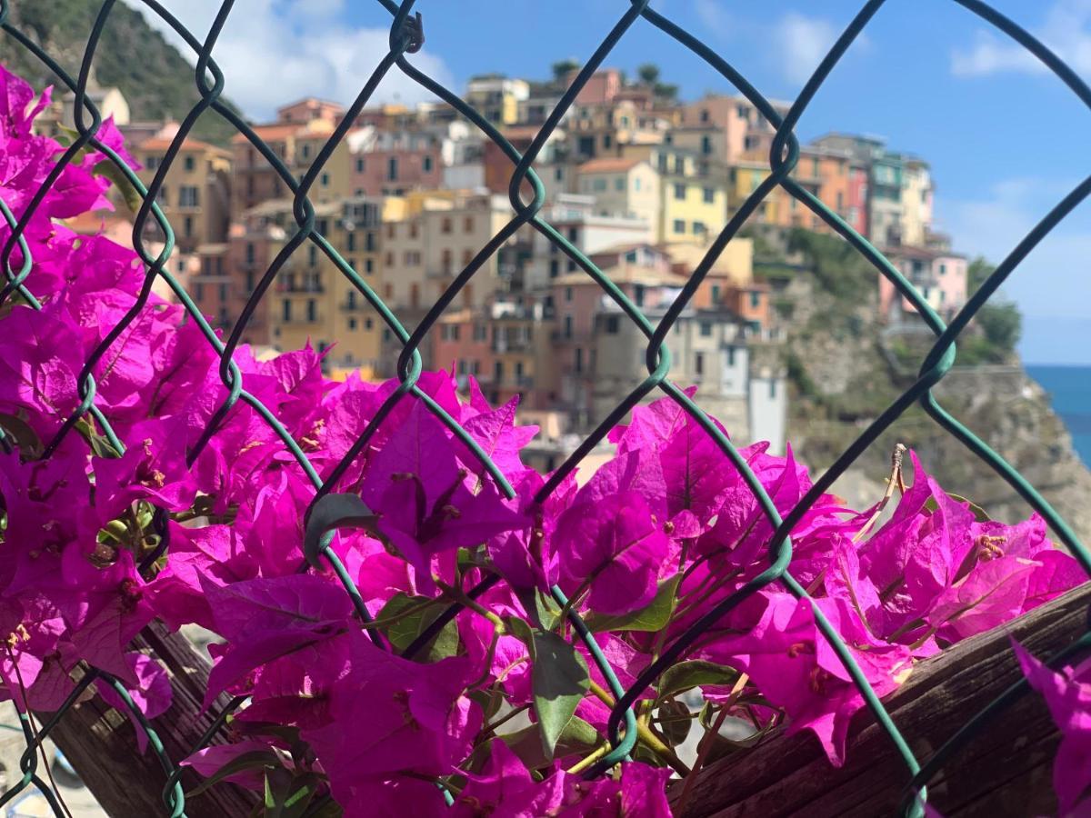 Affittacamere San Giorgio Manarola Kültér fotó